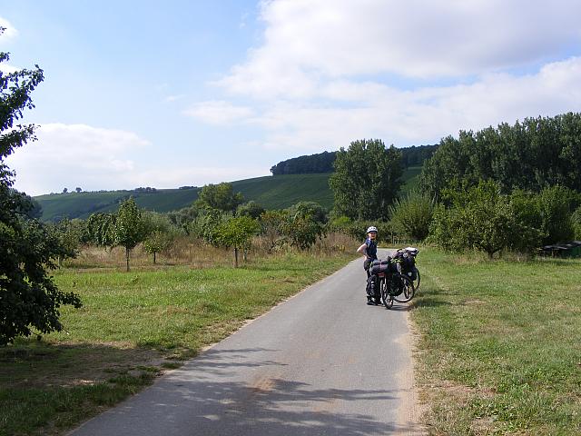 Weinberge und Pflaumenbäume.