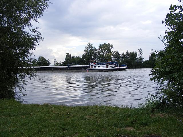 Blick vom Weg auf den Main